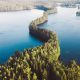 Finlands skog kompenserar allt mindre för koldioxidutsläppen. LULUCF nu en kolkälla i Finland