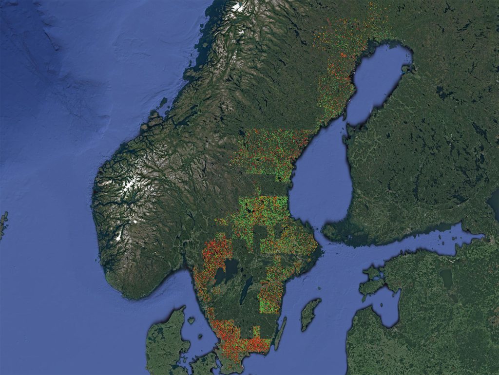 Hur stämmer avverkningsnivån från JRC med svensk laserdata? 8 Översiktskarta som visar SGD laserdata över Sverige och färg enligt våra klasser i analysen.