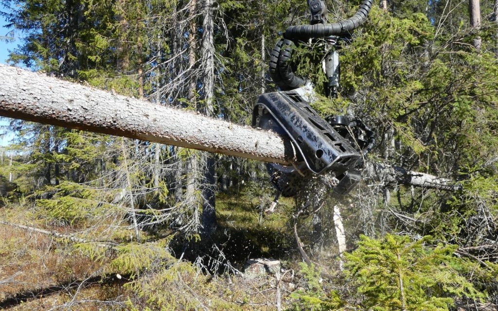 Regelförenklingar med LSÅ blir krångligt hos Skogsstyrelsen? 7 En skördare avverkar skog i Norrland. LSÅ kan påverka framtida avverkningar i Sverige