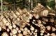 Norra skogs pris på massaved 25% lägre än Södras