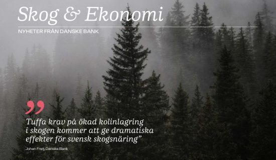 En relativt dyster skogsbild klär omslaget till Danske Banks senaste nyhetsbrev