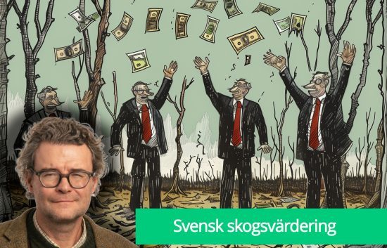 Svensk skogsvärdering, krönika av Per indvall