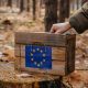 EU-valet 2024 och skogen och klimatet