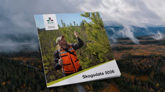 Skogsdata 2026: Mer virke, men skogens balansräkning skaver 4 Skogsdata 2026