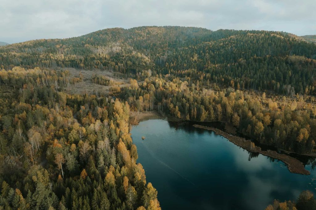 Placerar Centerpartiet den enskilde skogsägaren på rödlistan? 6 Vy över svensk skog, delar som nu Centerpartiet lappkastar och vill privatisera.