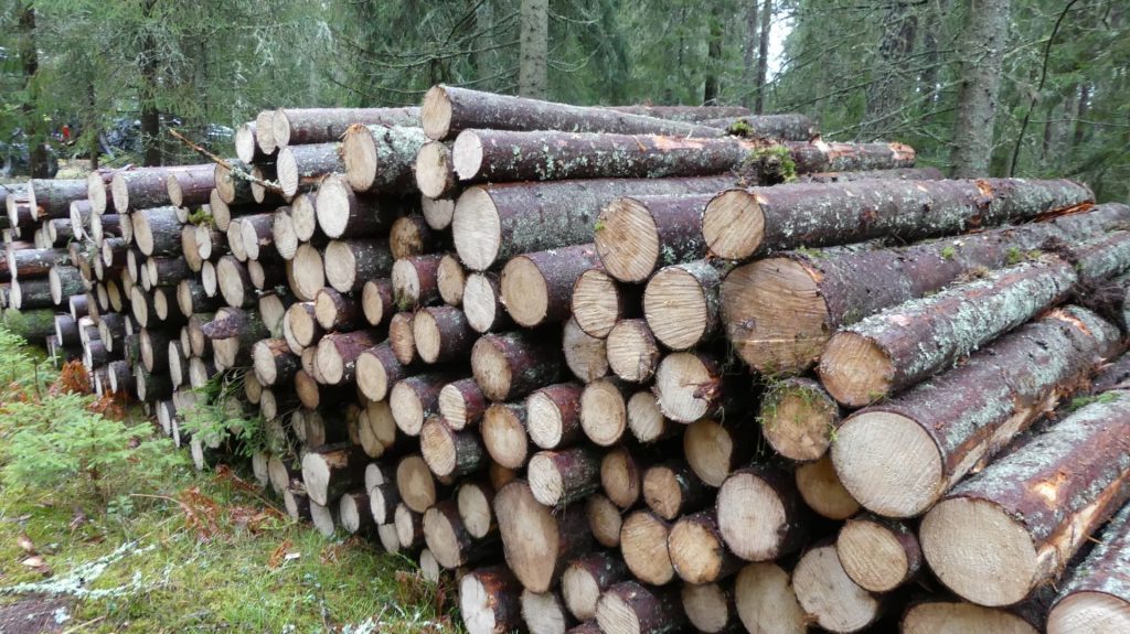 Helt olika virkesmätning i Finland och Sverige 6 virkesmätning-sverige
